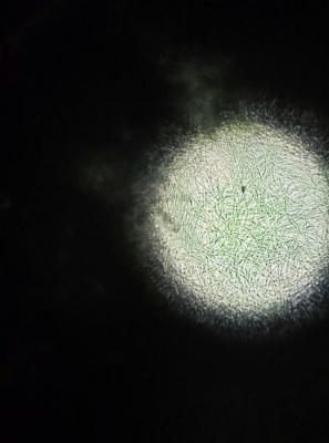 P90813-111830.jpg
