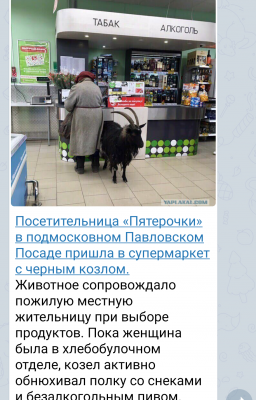 Screenshot_20190510-041404~4.png