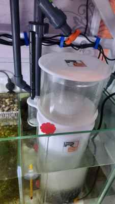 2021-08-23 20-12-56.png