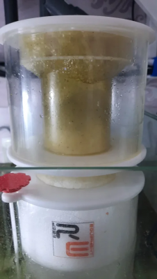 2021-08-24 16-30-28.png