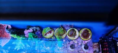 IMG_20220820_161935.jpg