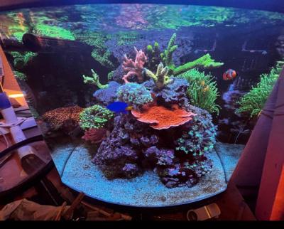 Image1693147072.185487.jpg