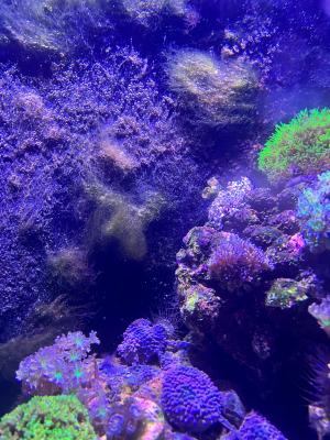 IMG_1897.JPG