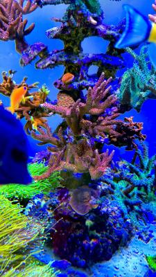 IMG_7967.jpeg