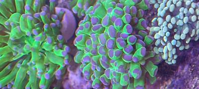 IMG_20241120_150033.jpg