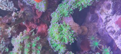 IMG_20250807_143255.jpg
