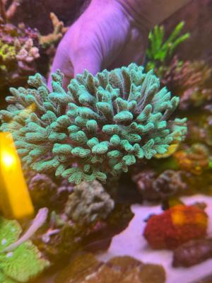 1e7dc093-9bc5-43d4-80b6-96872b4a47c6.jpeg