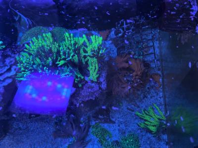 photo_2025-08-28 08.38.40.jpeg