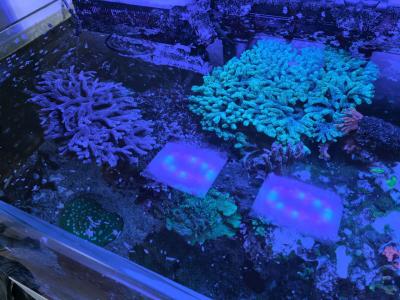 photo_2025-08-28 08.38.34.jpeg