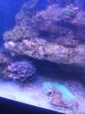 IMG_20250803_095215.jpg