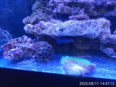 IMG_20250811_144712.jpg