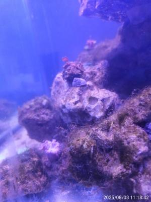 IMG_20250803_111842.jpg