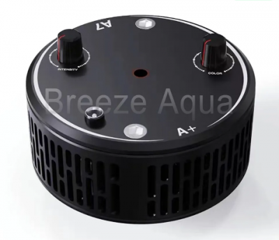 Скриншот 28.08.25_09.25.00.png