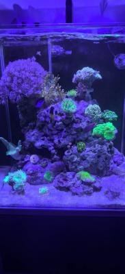 IMG_20250830_192345.jpg