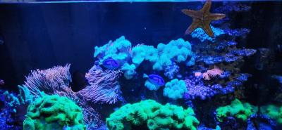 WhatsApp Image 2025-08-21 at 09.48.47.jpeg