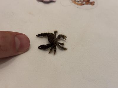 IMG_5177.jpeg