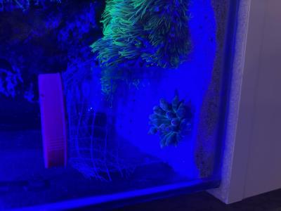 IMG_5028.jpeg