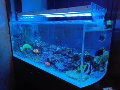 IMG_20260724_162410_940.jpg