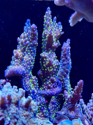 IMG_7892.JPG
