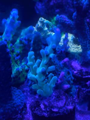 IMG_20260809_194432.jpg