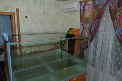 P1100005.jpg