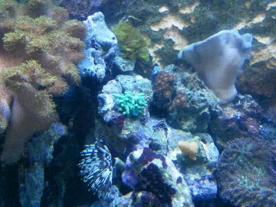 2012-09-22 11.58.13.jpg