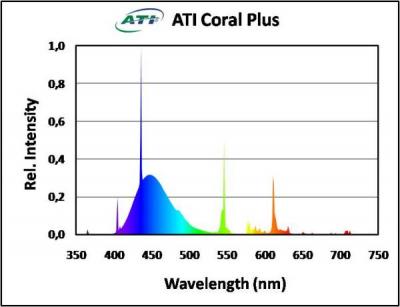 Coral_Plus.jpg