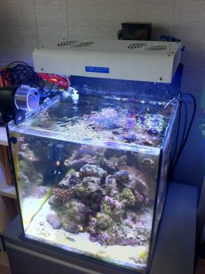 ImageUploadedByTapatalk HD1346500896.560237.jpg