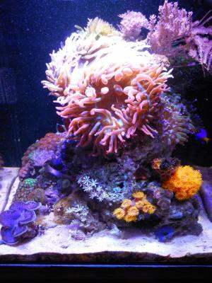DSCN2743.JPG