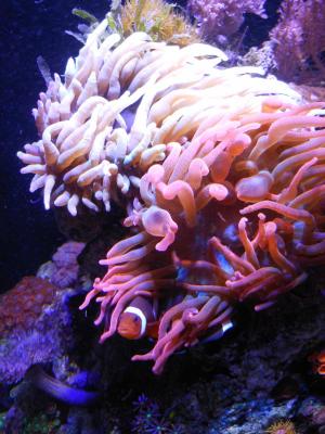 DSCN2693.JPG