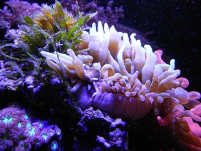 DSCN2761.JPG
