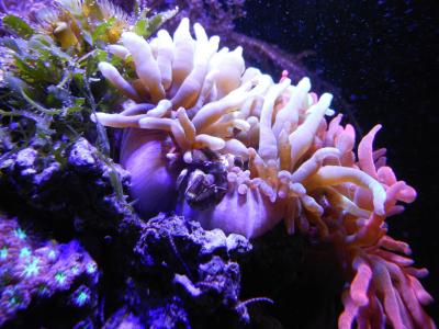DSCN2755.JPG