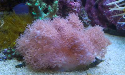 2013-07-11 20.50.45.jpg