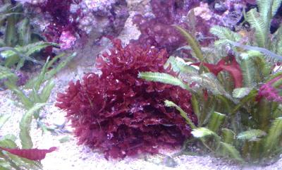 20130917_114526.jpg