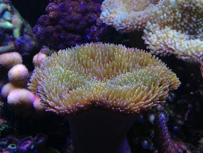 IMG_3035.JPG