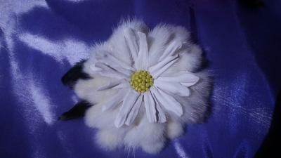 20140423_000241.jpg