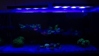 P9074371.jpg