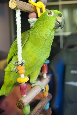 DSC_8458.JPG