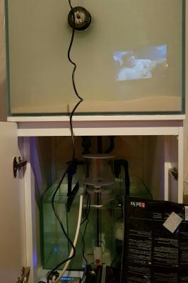 2016-09-03_18.13.51.jpg