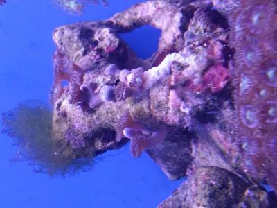 20160907_151324.jpg
