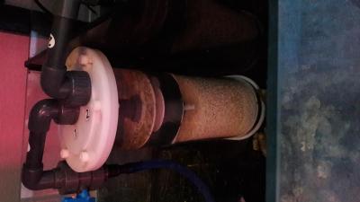 20170928_191345.jpg
