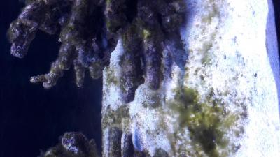 20170928_191327.jpg