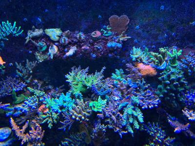 IMG_3121.JPG