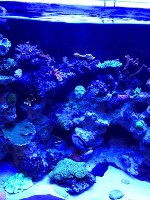 IMG_3617.JPG