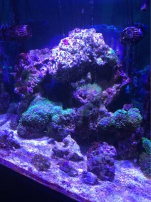 Image1506491942.035086.jpg
