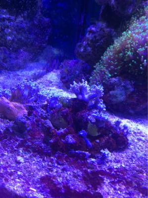 Image1506509496.257031.jpg