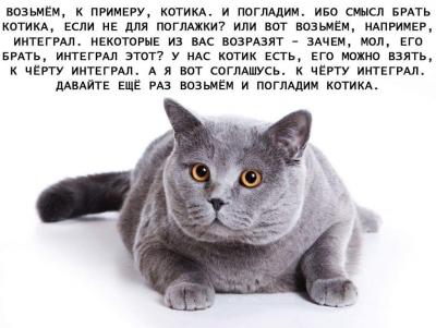 08c2803a-6ffd-4529-9ded-7a92228eea06.jpg