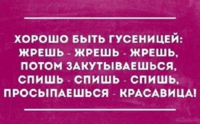 f6699f20-5a50-4b17-973e-b36a62a0e1fa.jpg