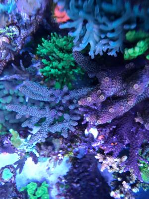 IMG_1154.JPG