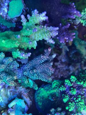 IMG_1164.JPG